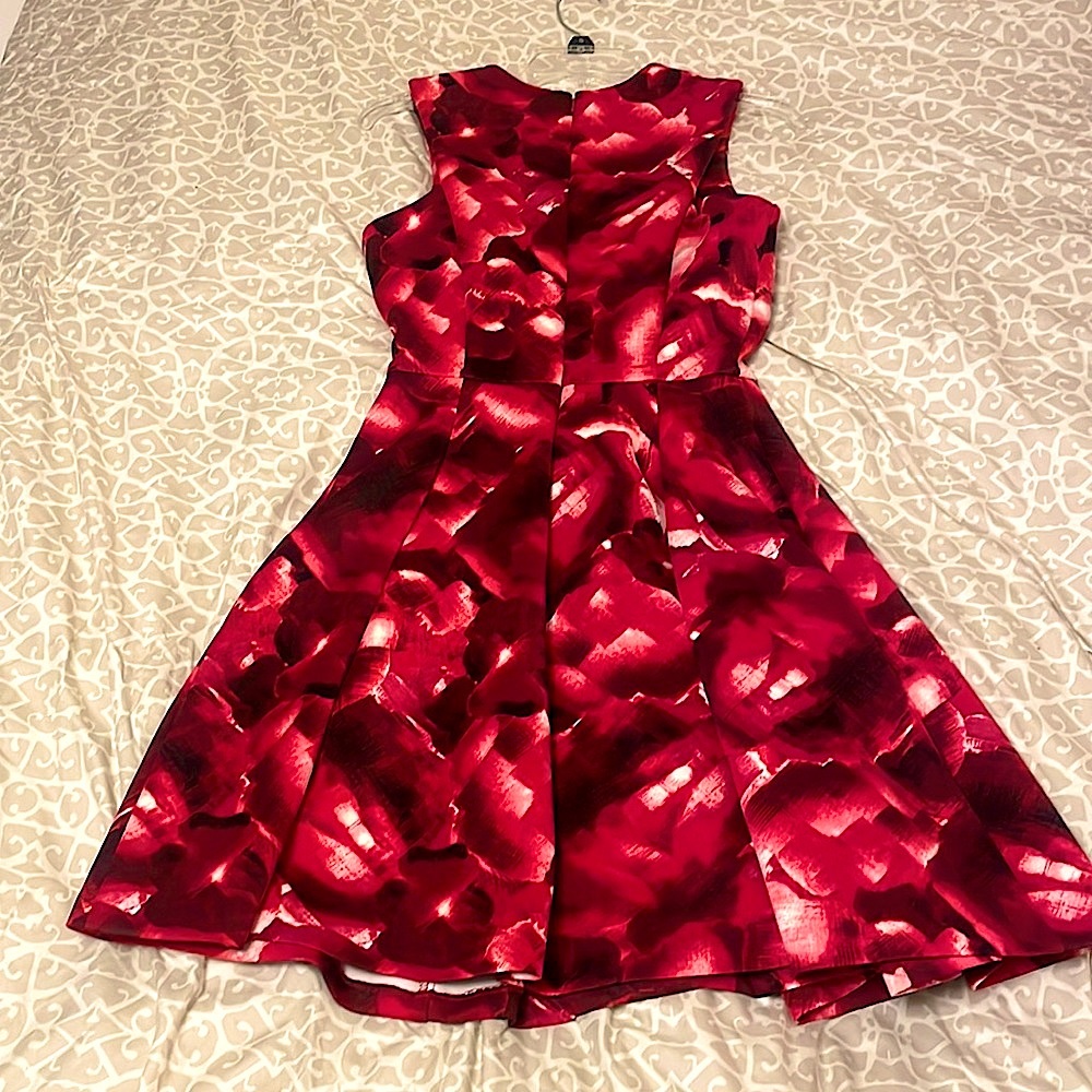 The Limited Red Dress. Worn Once. Great Quality!!! - Picture 3 of 4